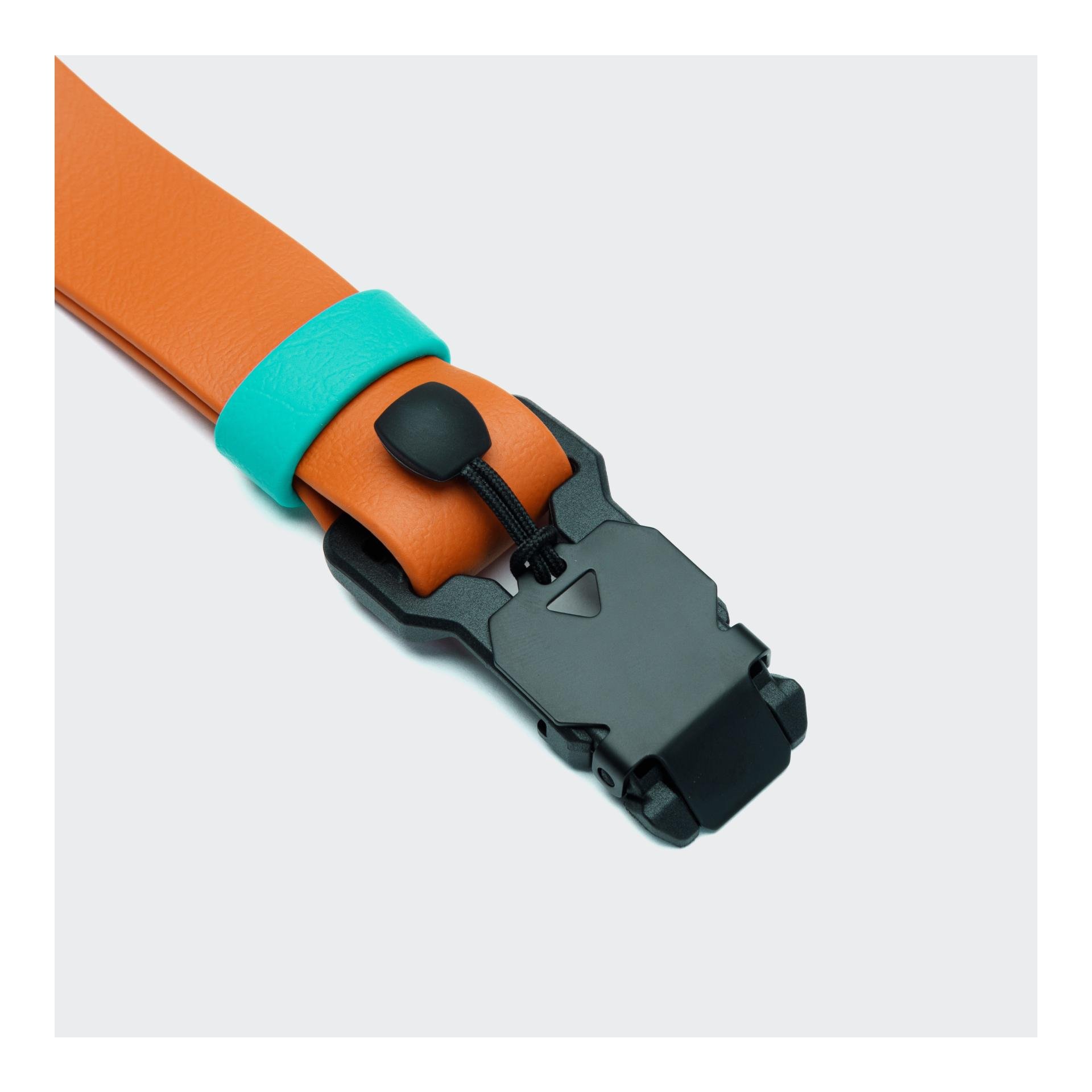 Collier de chien Biothane Ipanema