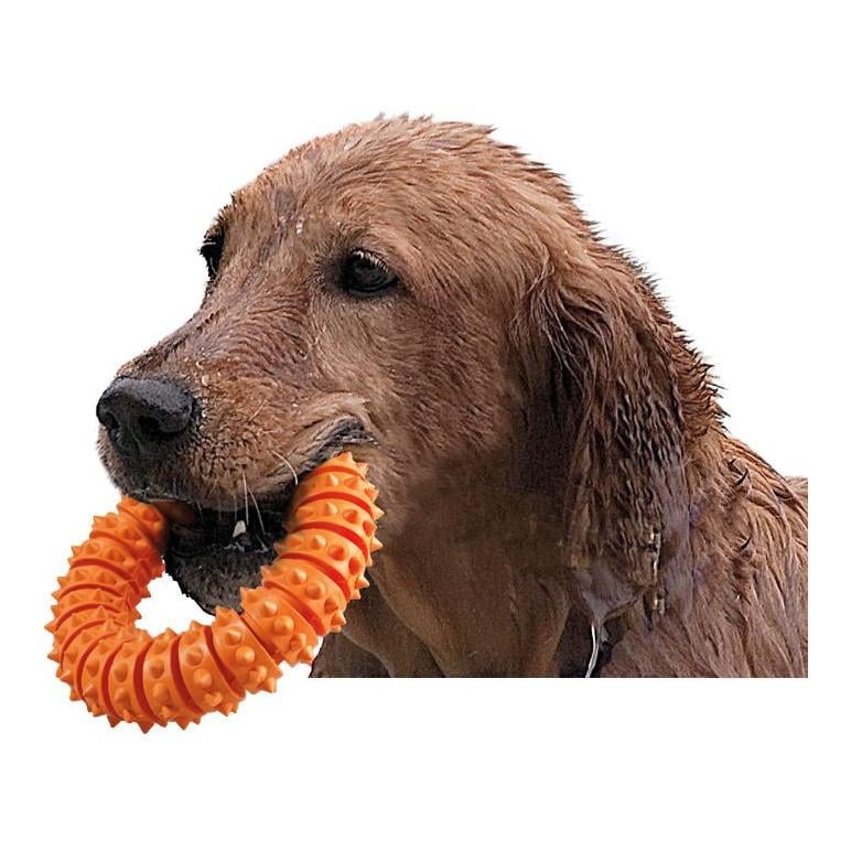 Ruffus Vollgummi Aqua Ring - orange