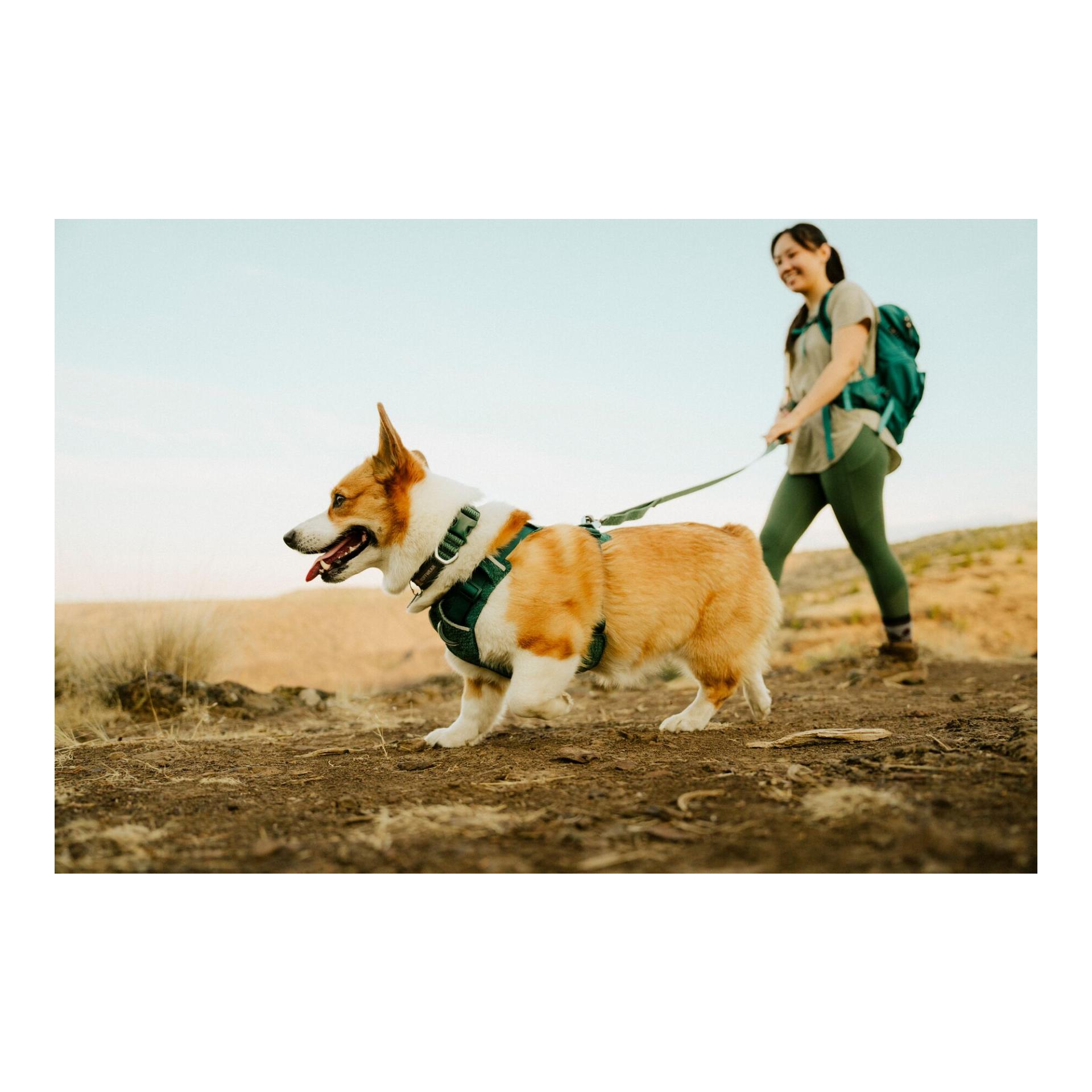 Ruffwear Front Range™ Flex Hundehalsband