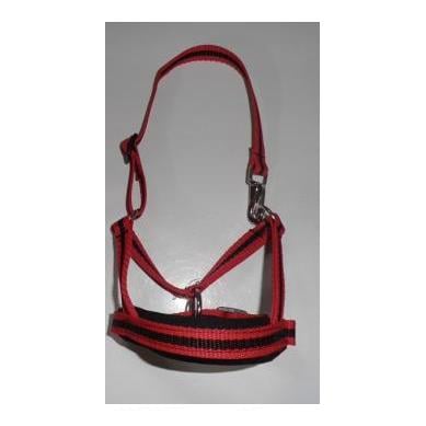 Alpaka Halfter zweifarbig