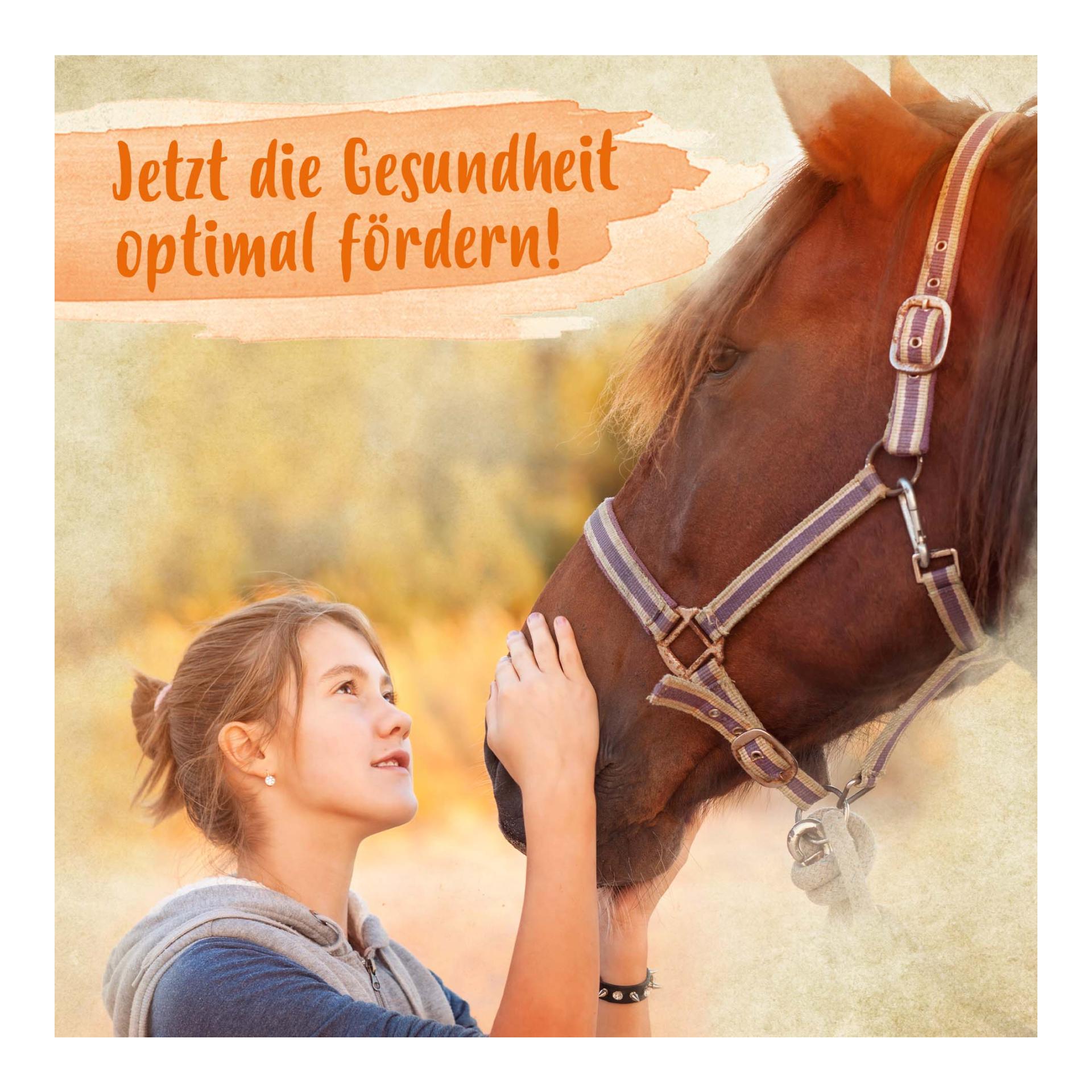 Mineral Forte - wichtige Mineralien & Vitamine für Abwehrkräfte, Haut & Fell