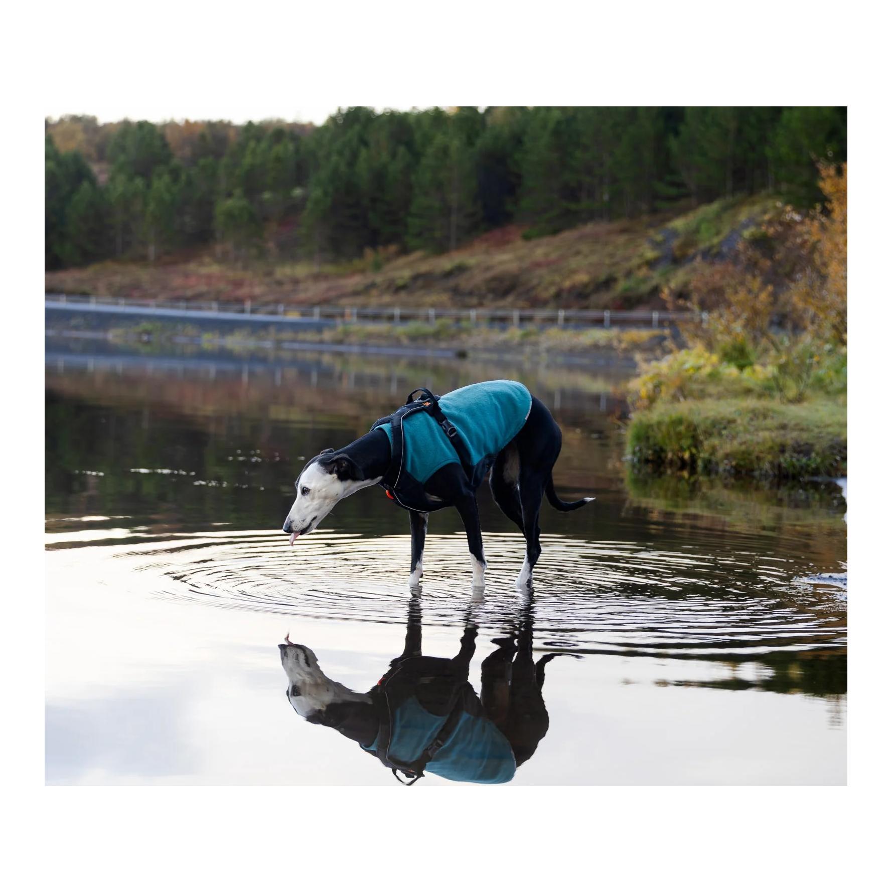 Hunde Fleecepullover Trail quest