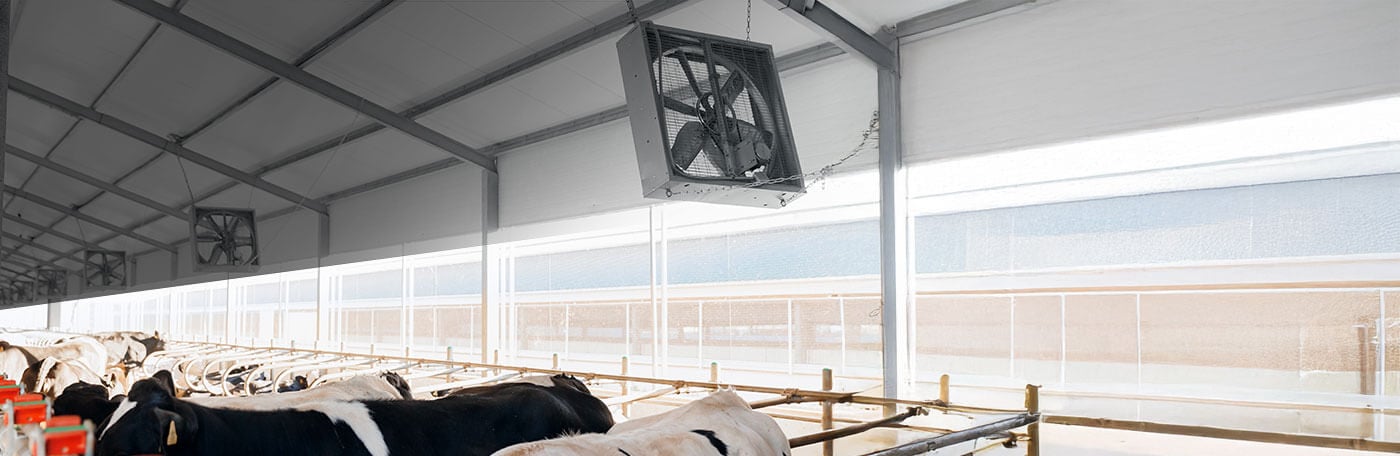 Hauptner-Hof_Stall-Stallkuehlung_Ventilatoren-SLIDER