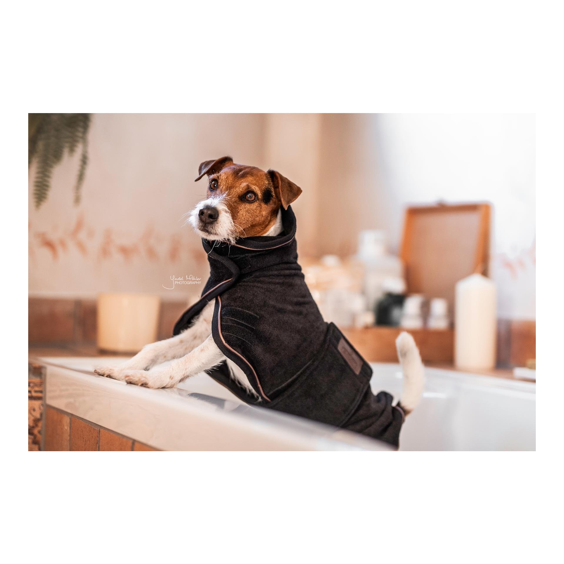 Hundemantel Dog Coat Towel