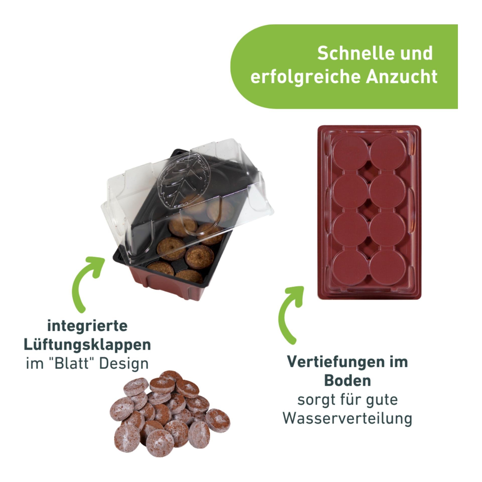 Windhager Fensterbank - Treibhaus mit Quelltabs