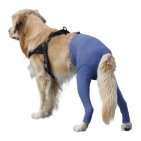 Image of Vetmedcare Safety Pants bei Läufigkeit und Inkontinenz - blau bei Hauptner.ch