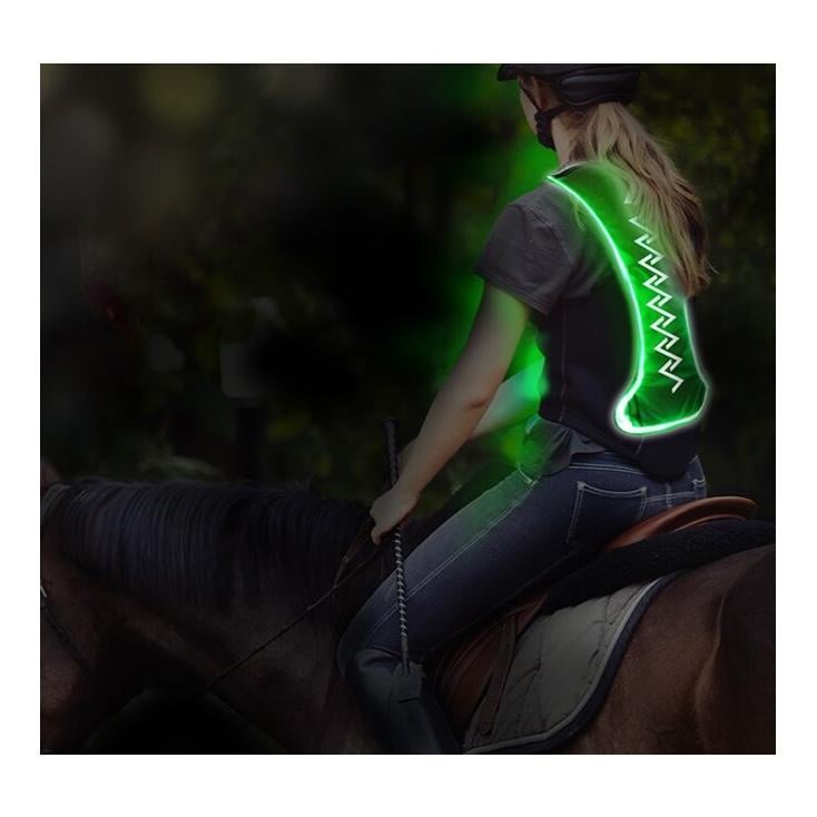 Animal Light LED Leuchtweste Flex - grün
