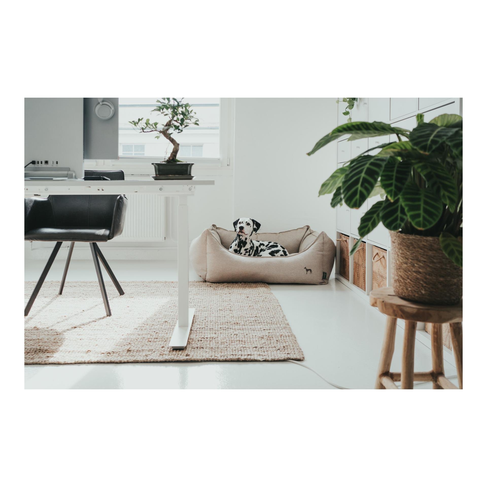 Canapé pour chien Livingston tissu - beige