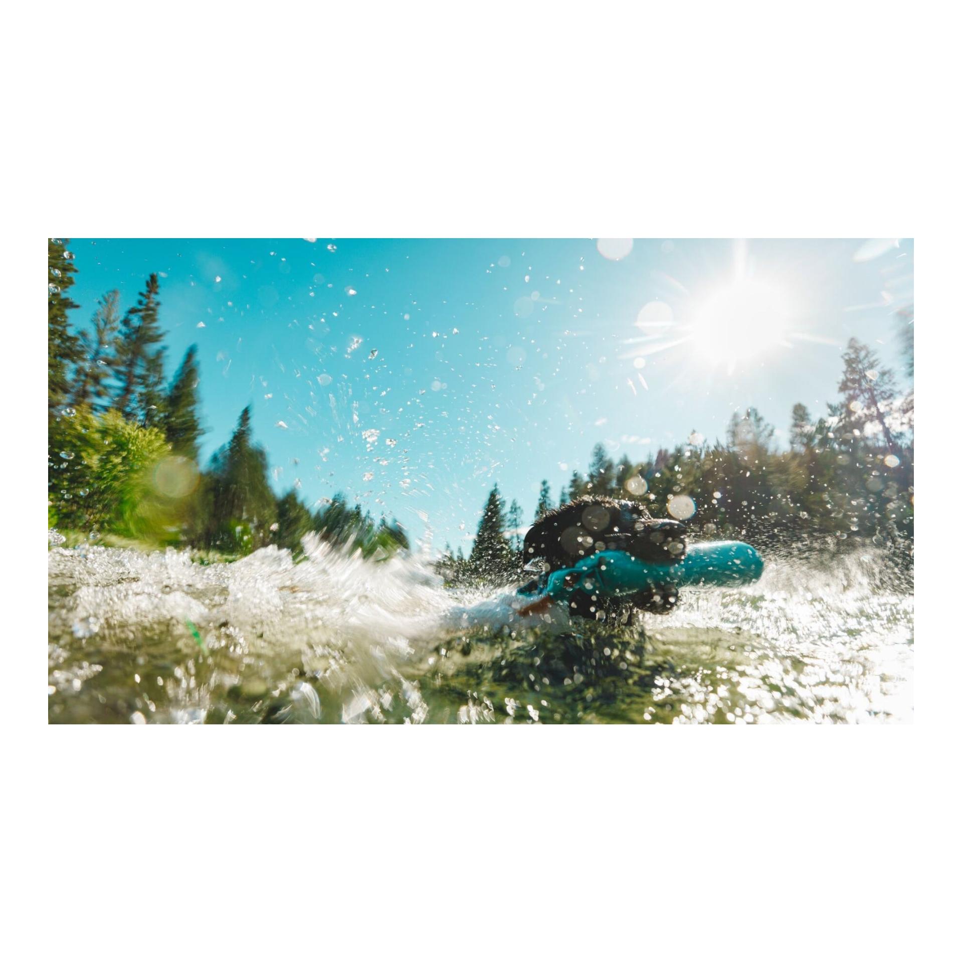 Hundespielzeug Lunker