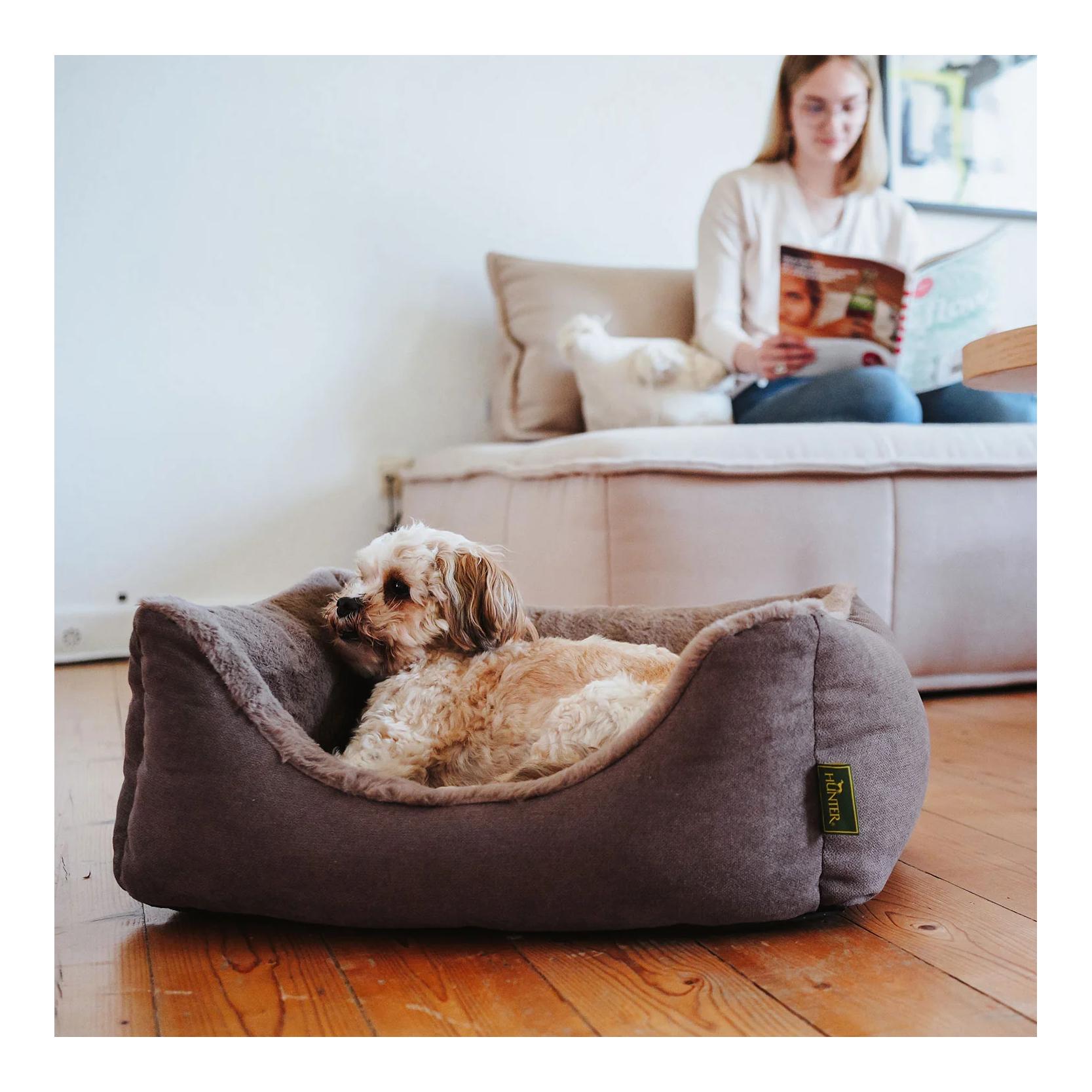 Orthopädisches Hundebett Rockford