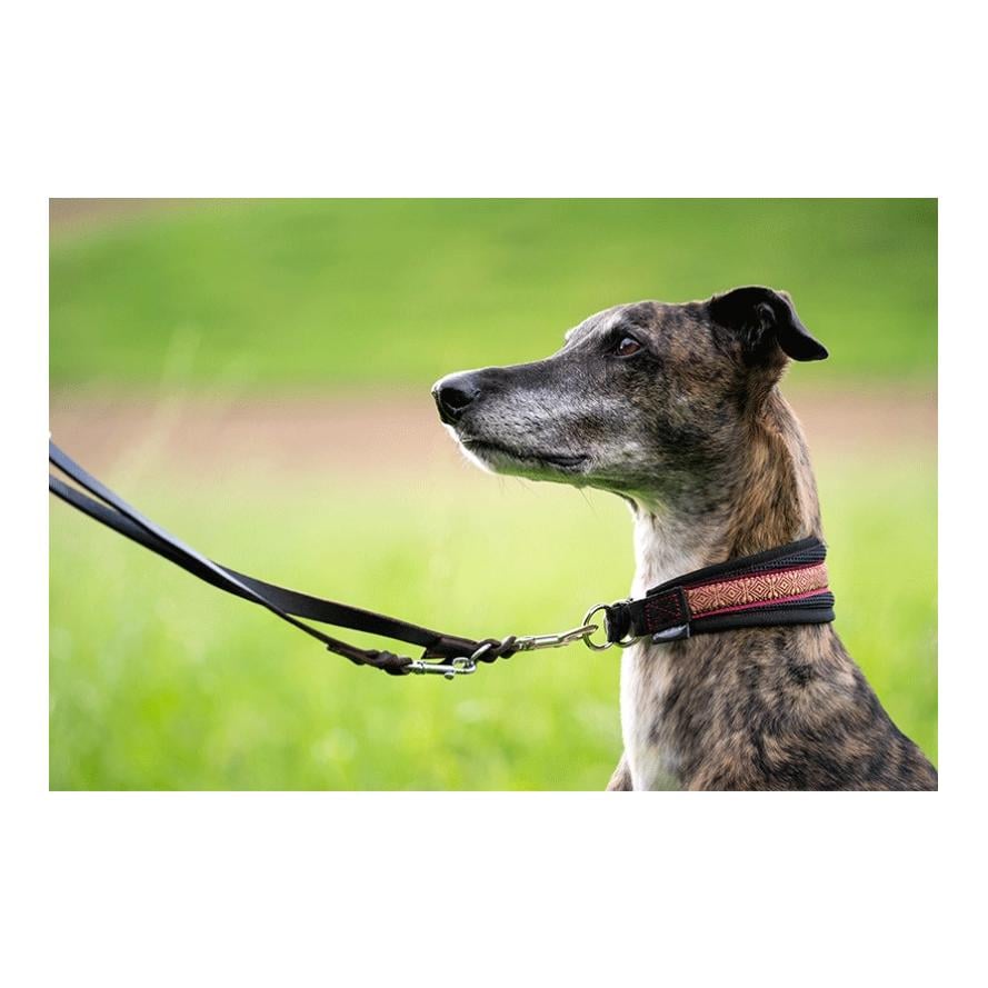 Laisse de chien en cuir gras