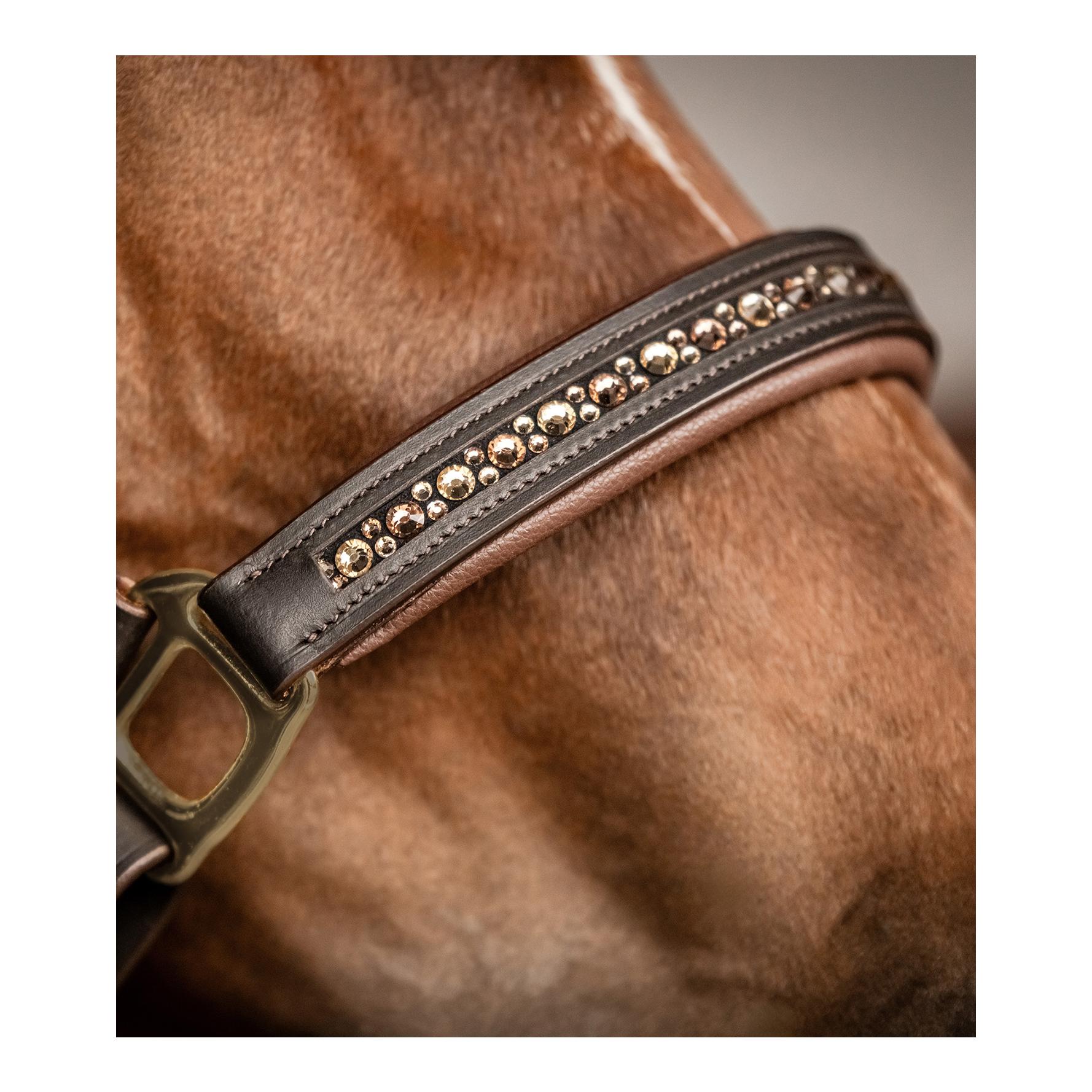 Lederhalfter Crystal