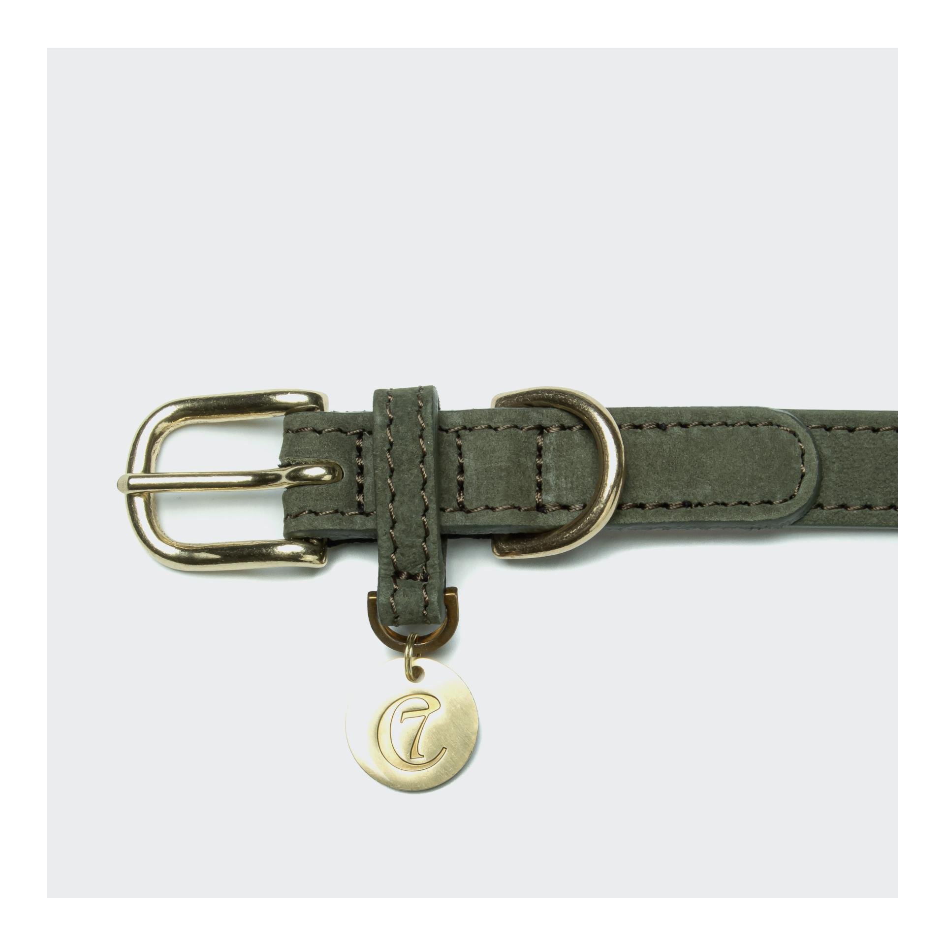 Cloud 7 Hundehalsband Tiergarten - Moss