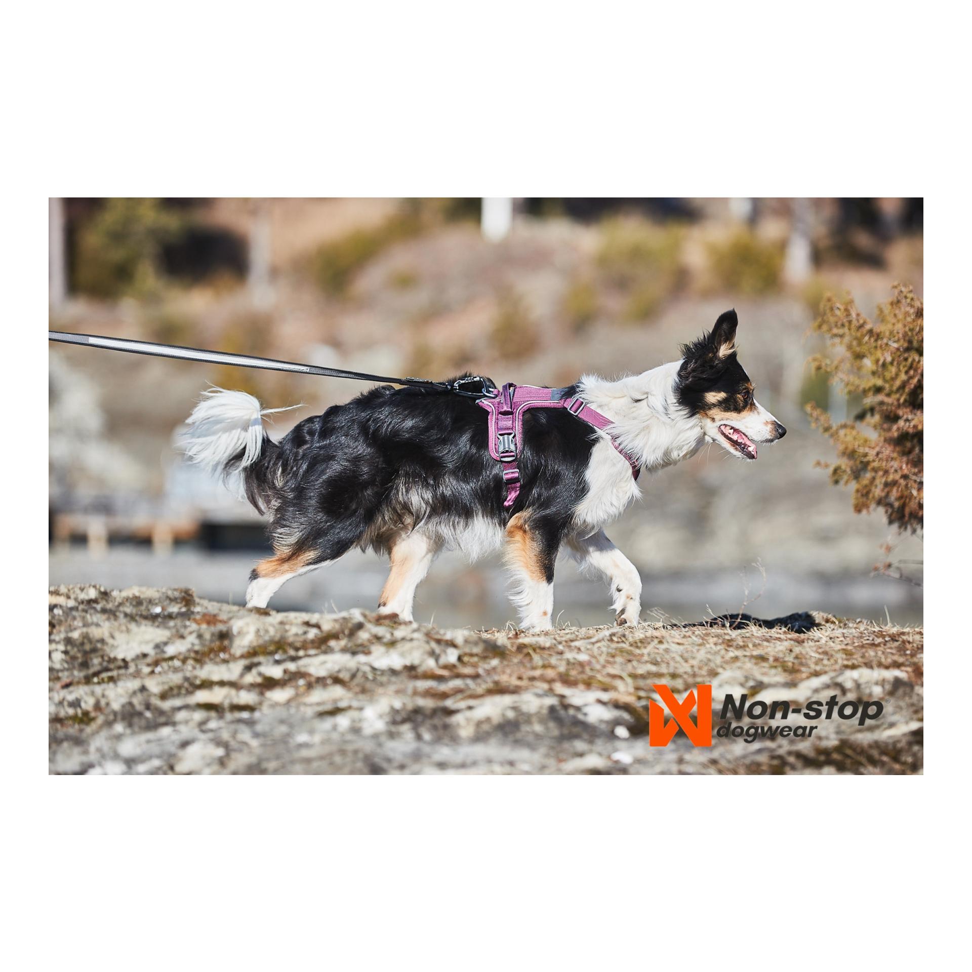 Ramble Harness - purple