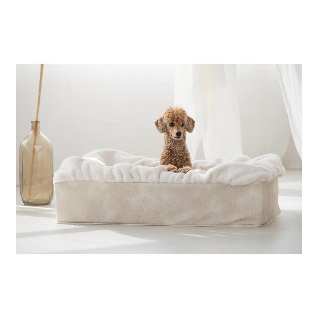Dogspring by MAUL Lit pour chien Buddelbox®
