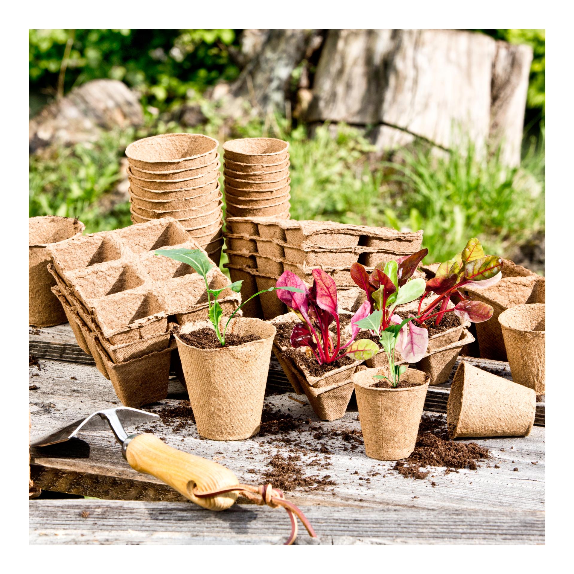 Anzuchttöpfe - eckig