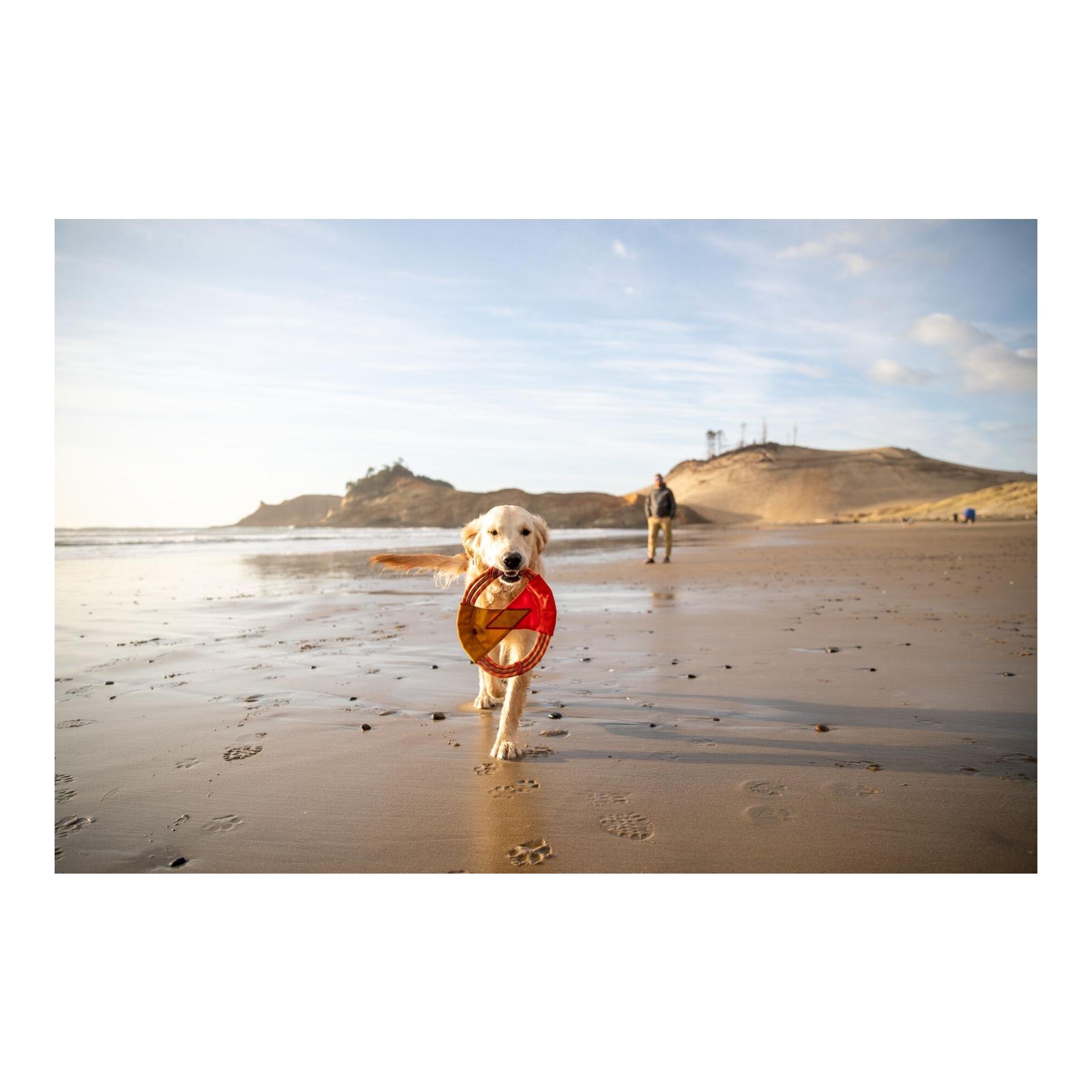 Ruffwear Pacific Ring™ Jouet pour chien