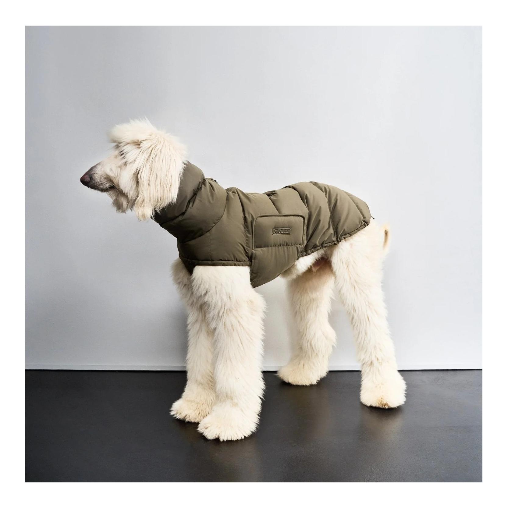 Winter Hundemantel Alaska Windhund