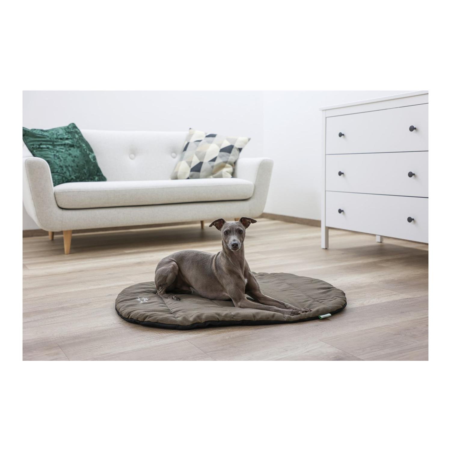 Coussin de voyage Traveller