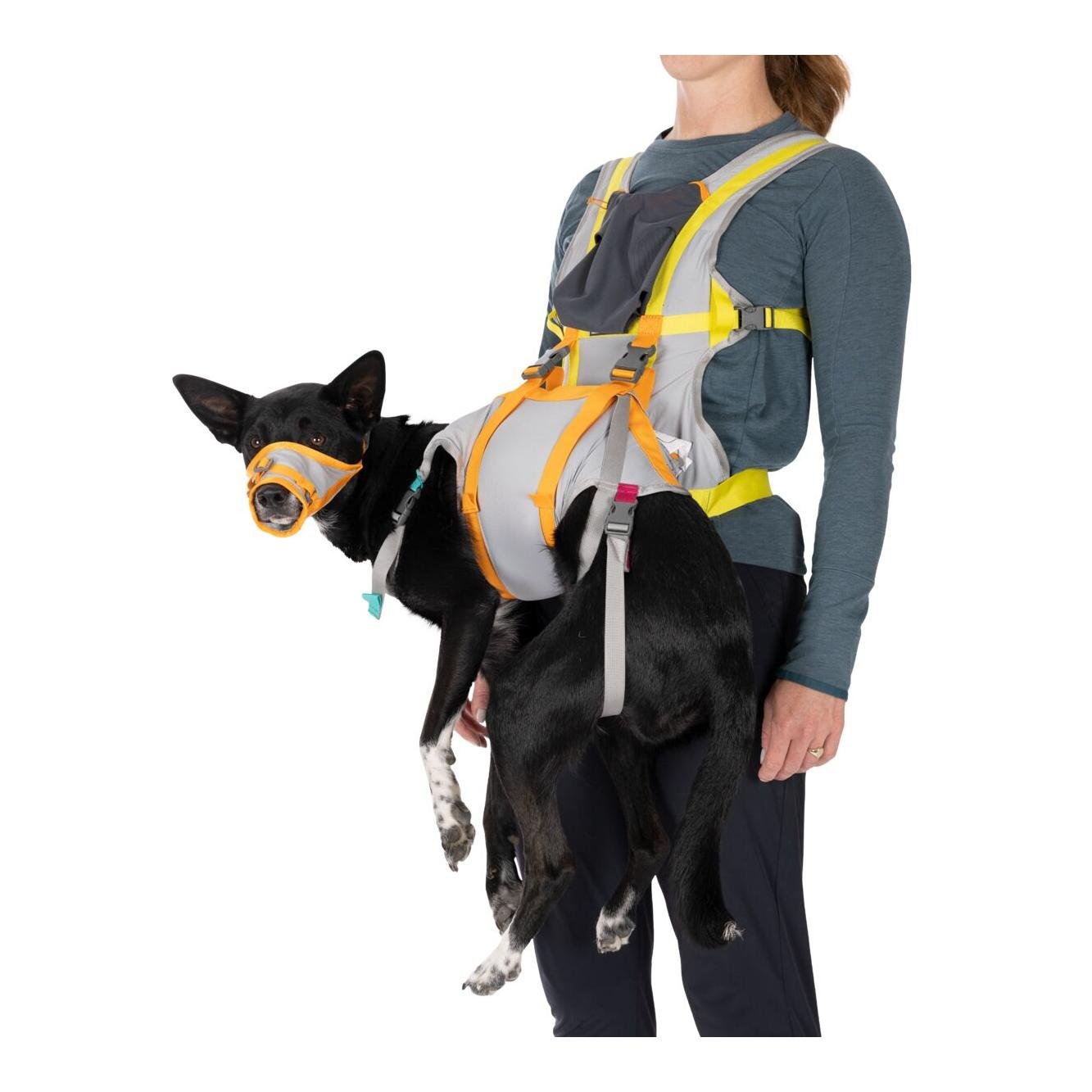 Hundenotfall-Set BackTrak Dog Evacuation Kit