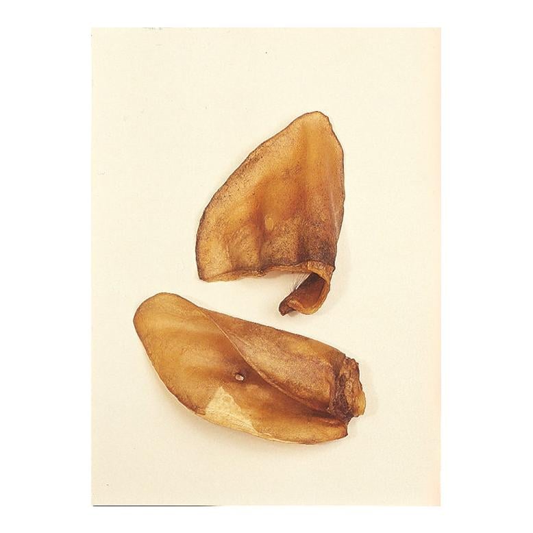 Öhrli light Kauartikel Rinderohren