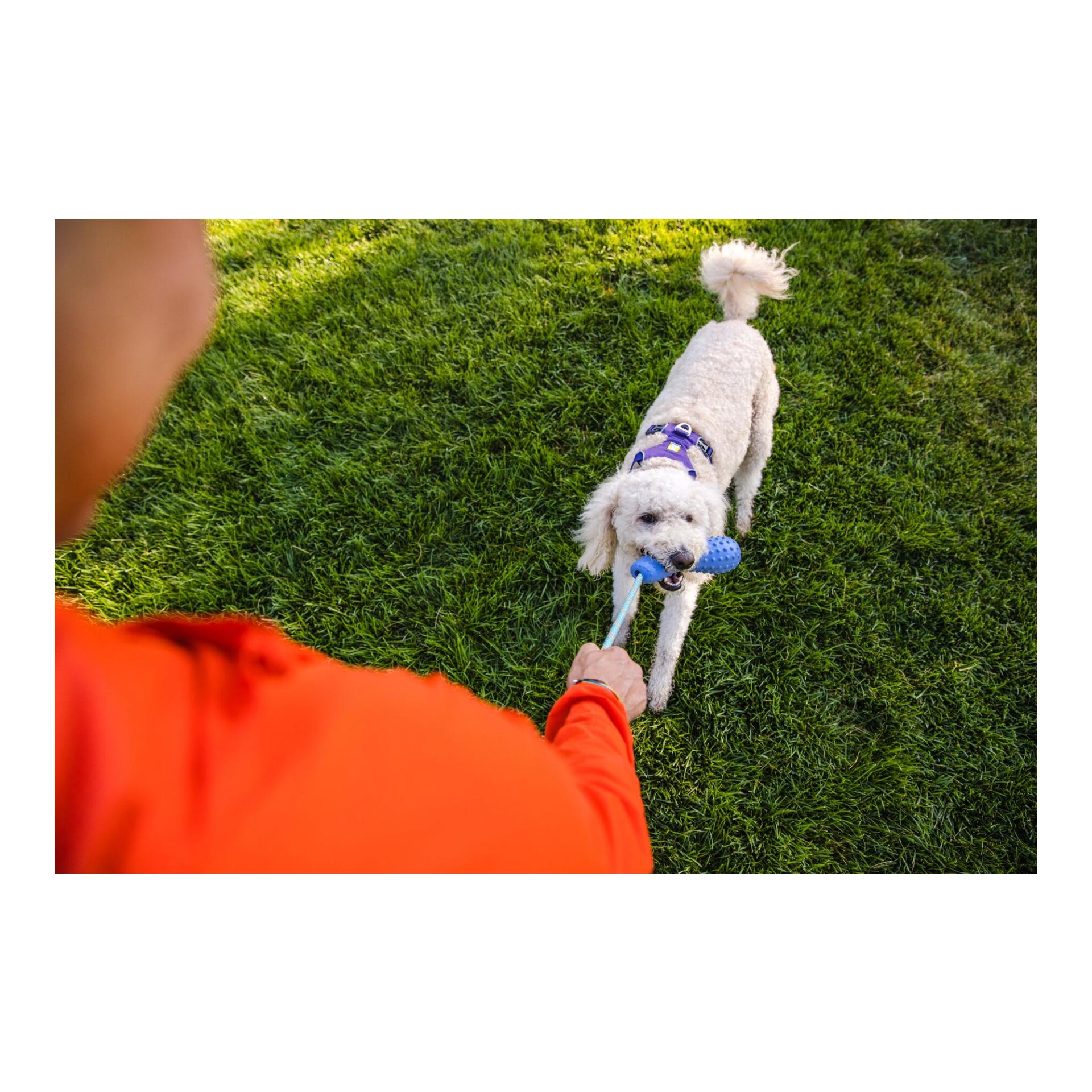 Ruffwear Gourdo™ Jouets pour chiens