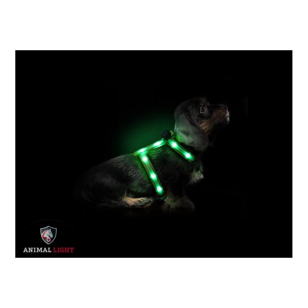 Image of Animal Light Leucht - Hundegeschirr "Ninja" - grün bei Hauptner.ch