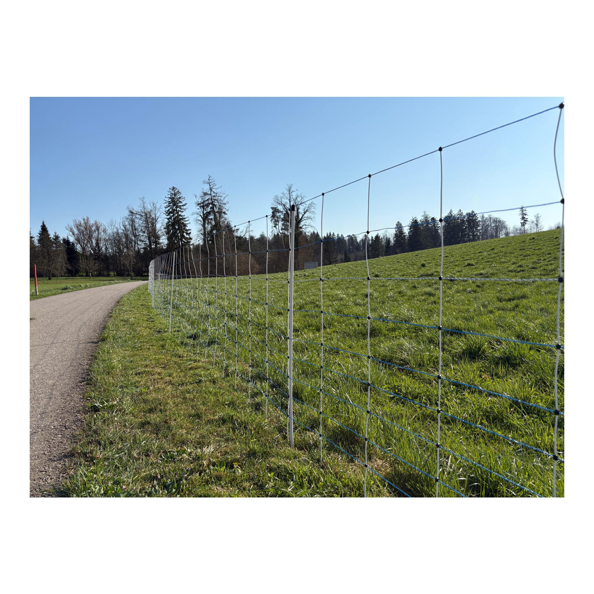 Hauptner Weidenetz Primaflex Swiss - Einzelspitz