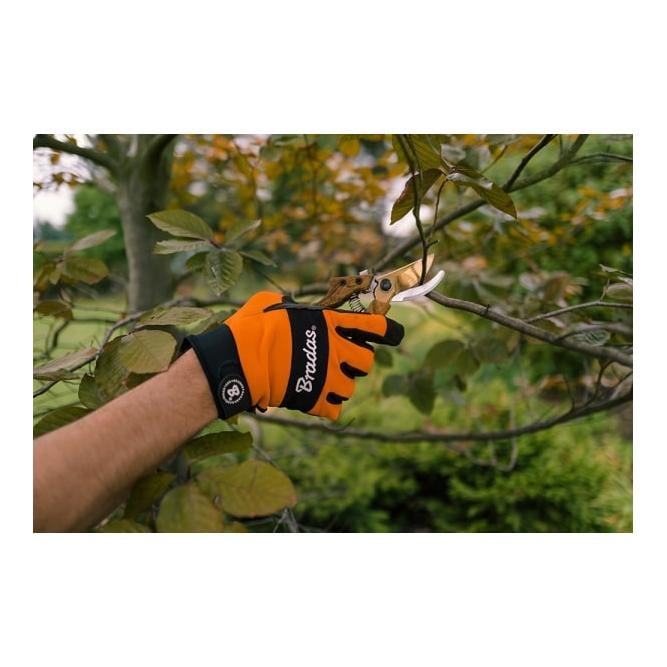 Sécateur pour arbres, vignes et jardinage SÉRIE V, lame continue, acier SK5