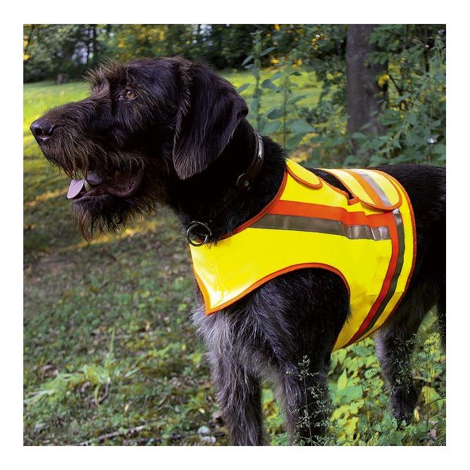 Reflektorweste für Hunde