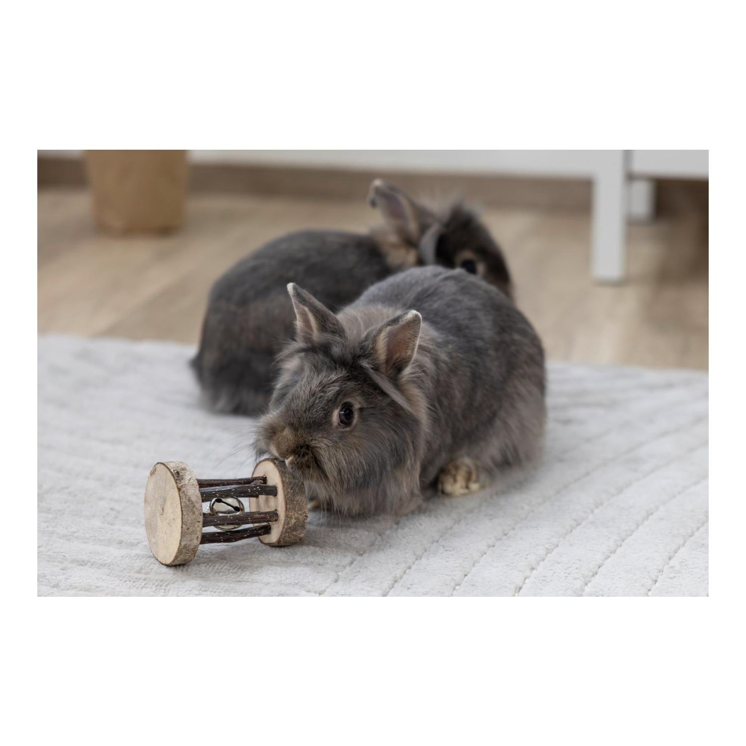 Rouleau à ronger avec clochette