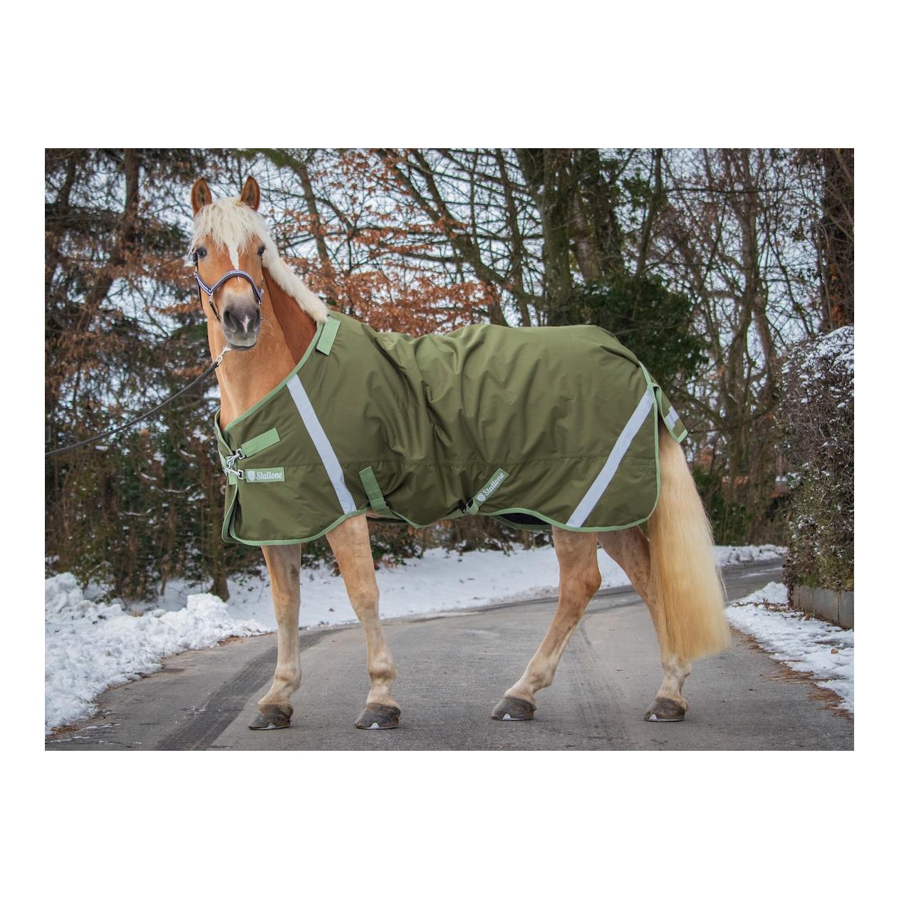 Couverture 300 g d'hiver Outdoor Guard