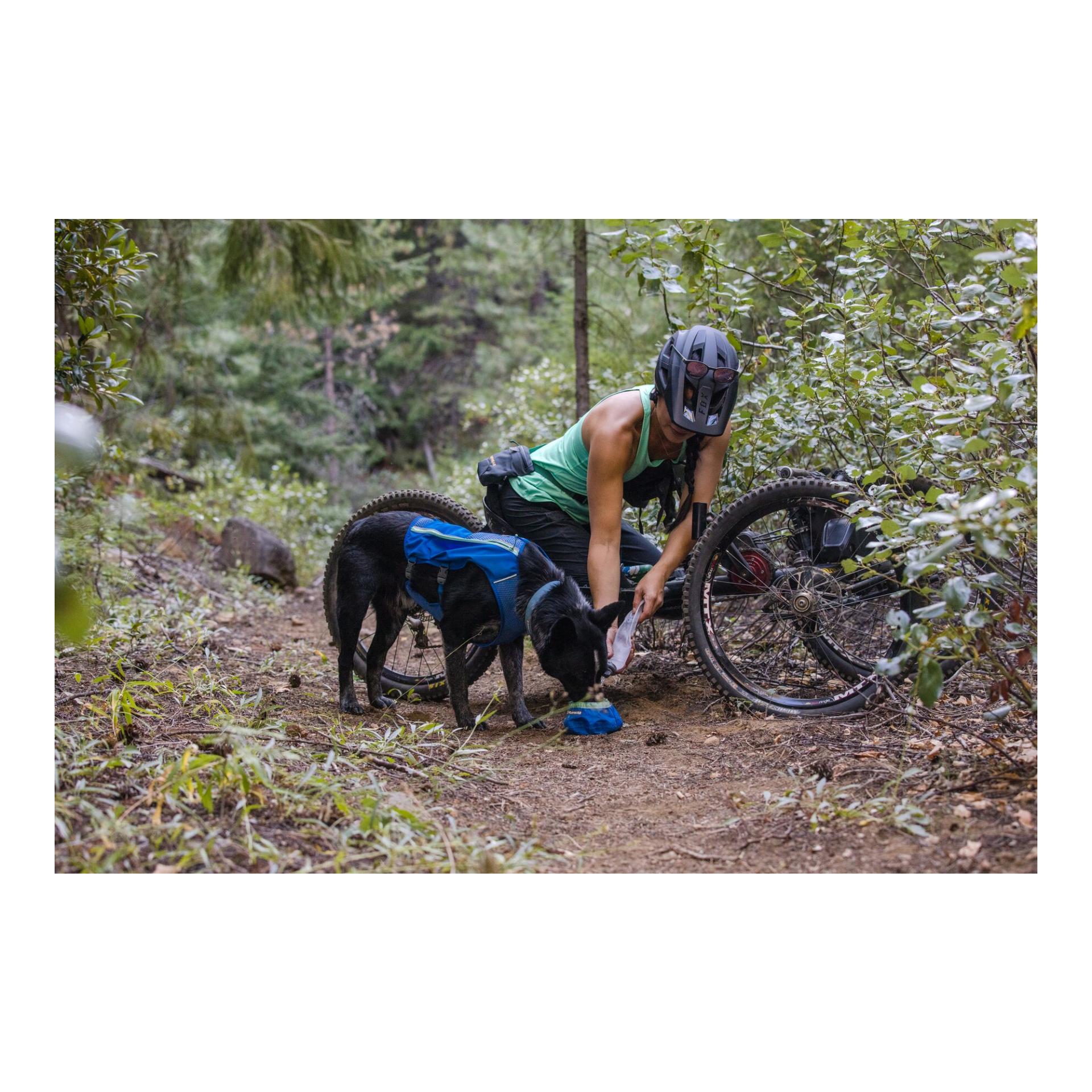 Trail Runner™ Bowl gamelle pour chien