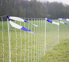 Hauptner-KAT-Weidenetze_Zaeune