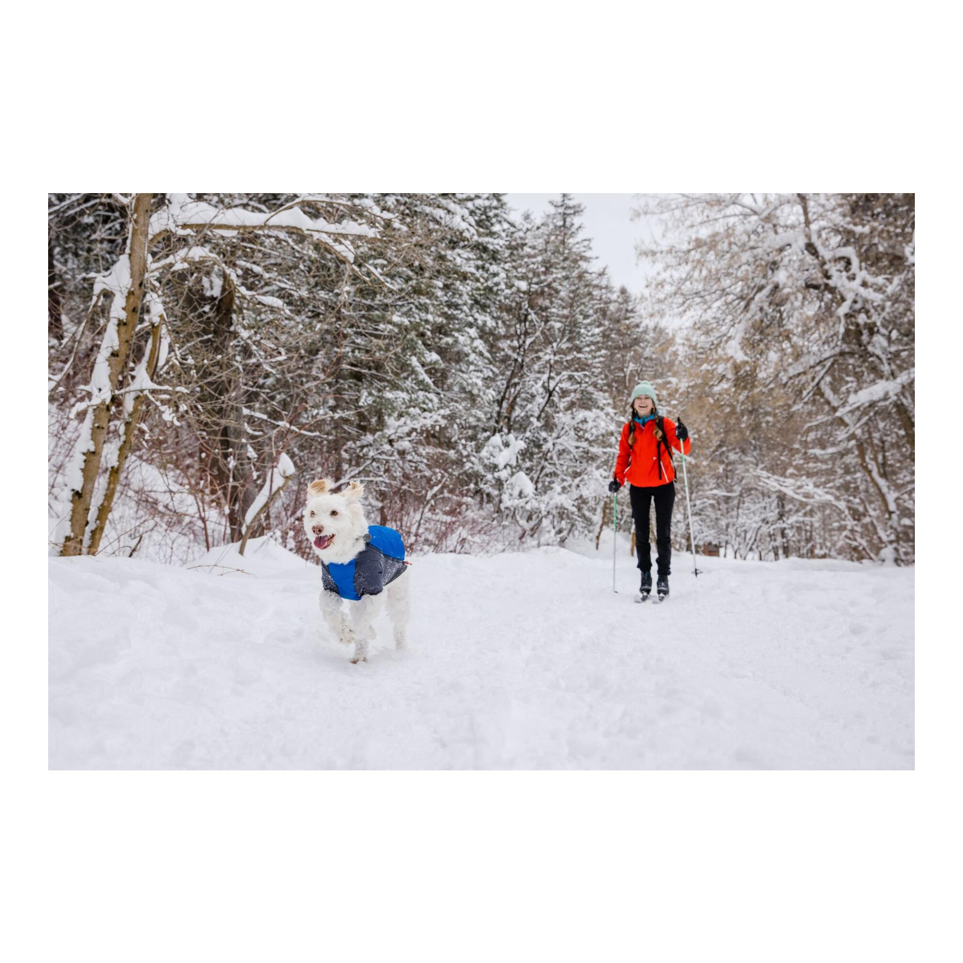 Powder Hound™ Jacket Hundejacke