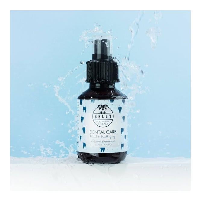 Zahnpflege Dental Care Spray