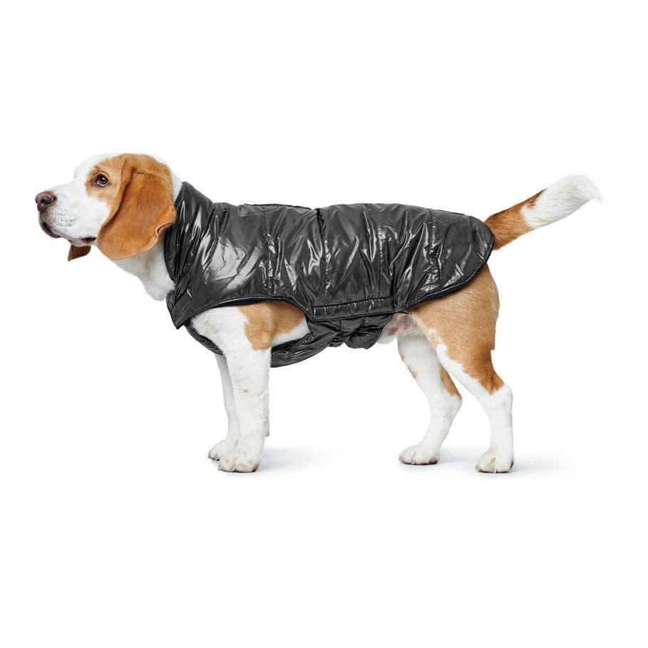 Hundemantel Tampere - schwarz