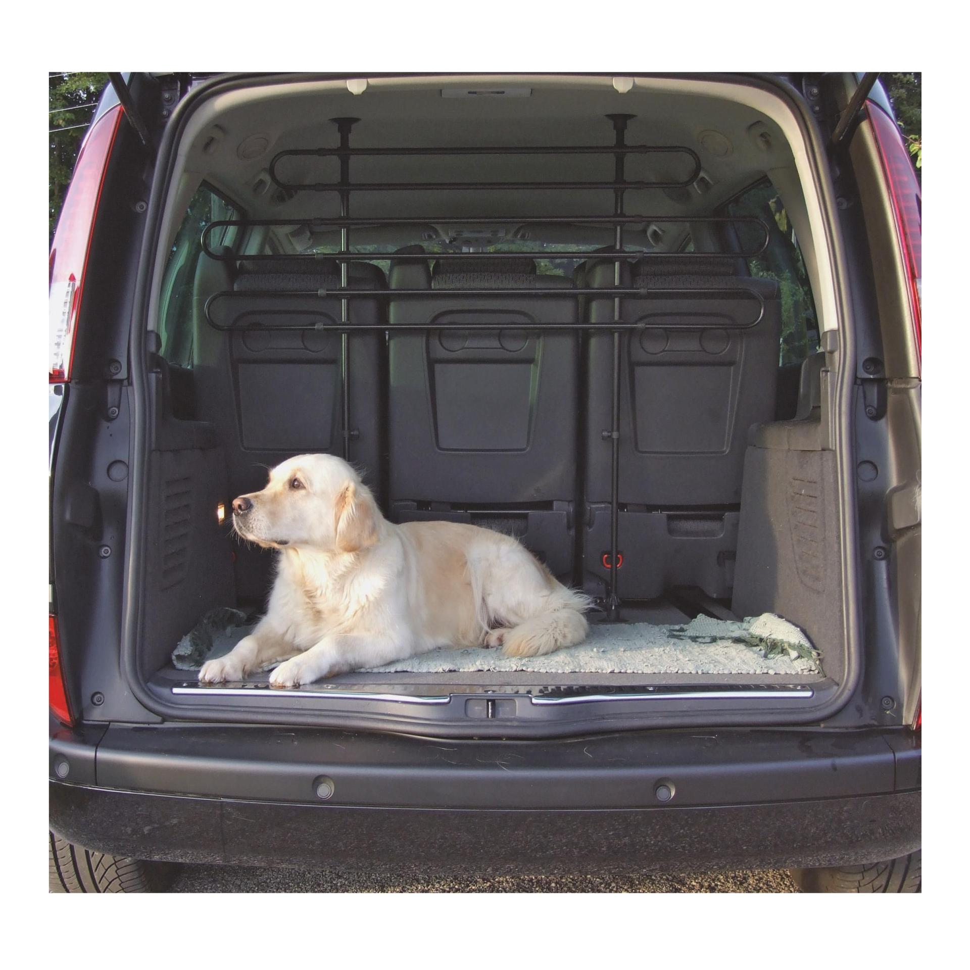 Grille de protection pour voiture