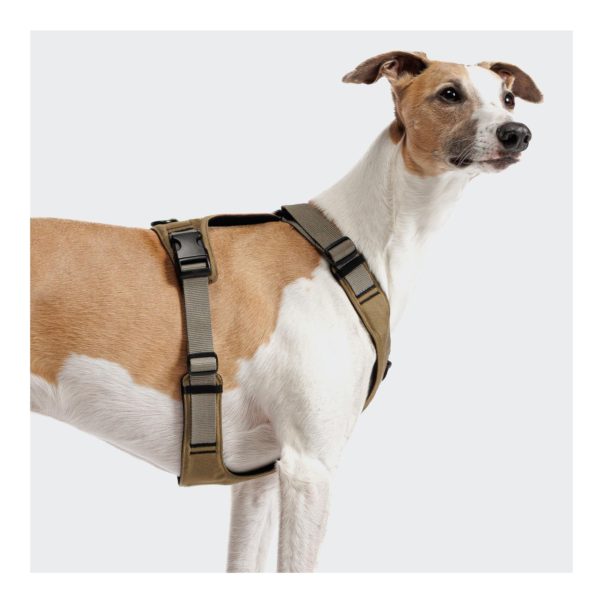 Harnais pour chien Y-2