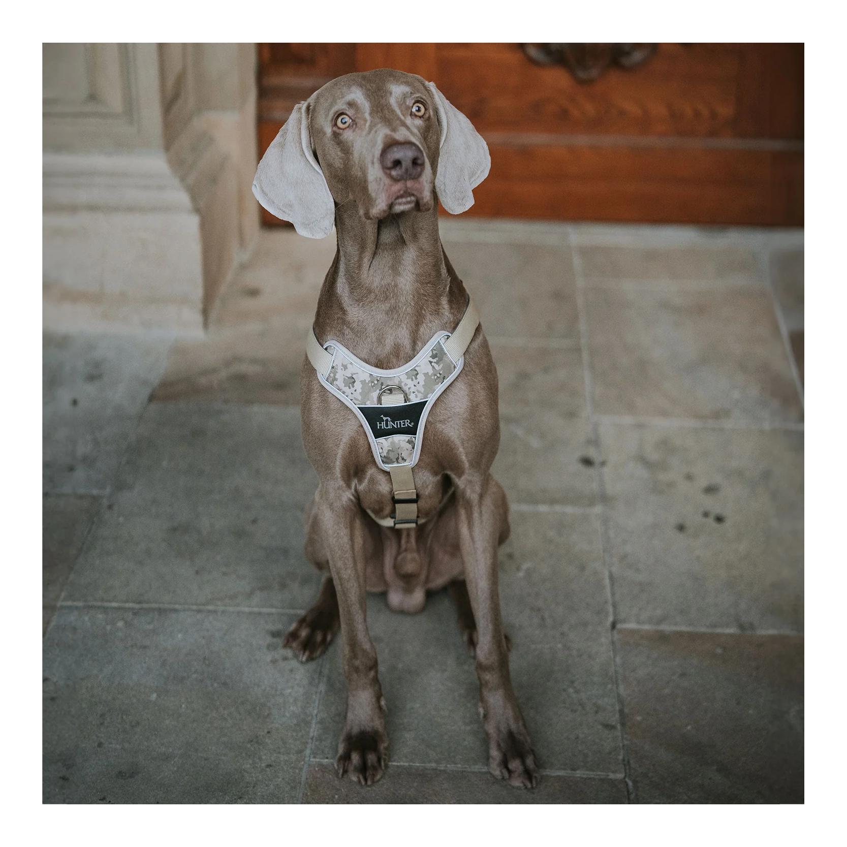 Geschirr Divo Camouflage