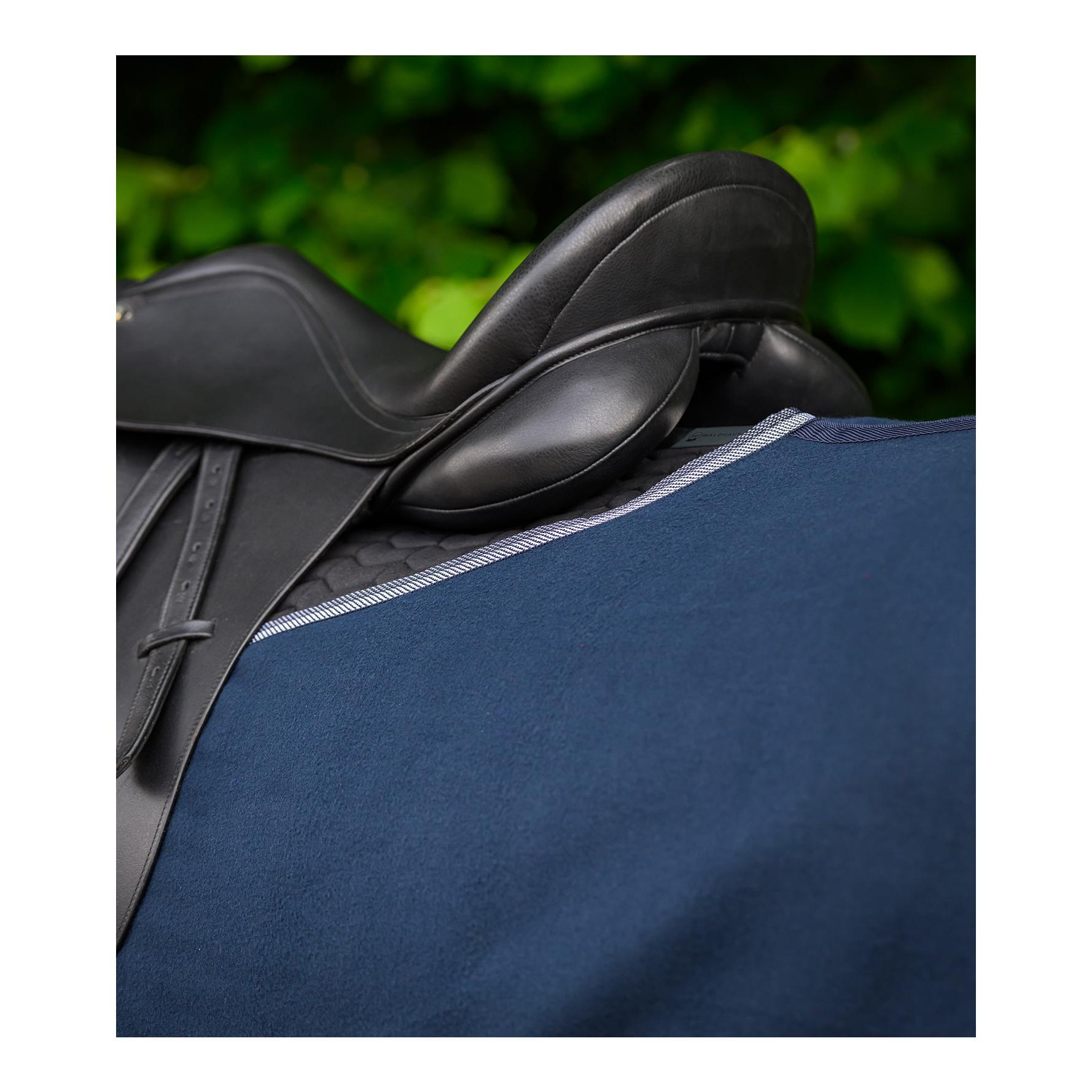 Waldhausen Ausreitdecke ECONOMIC 