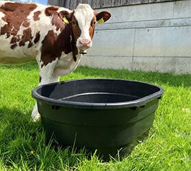 Hauptner-KAT-Traenken