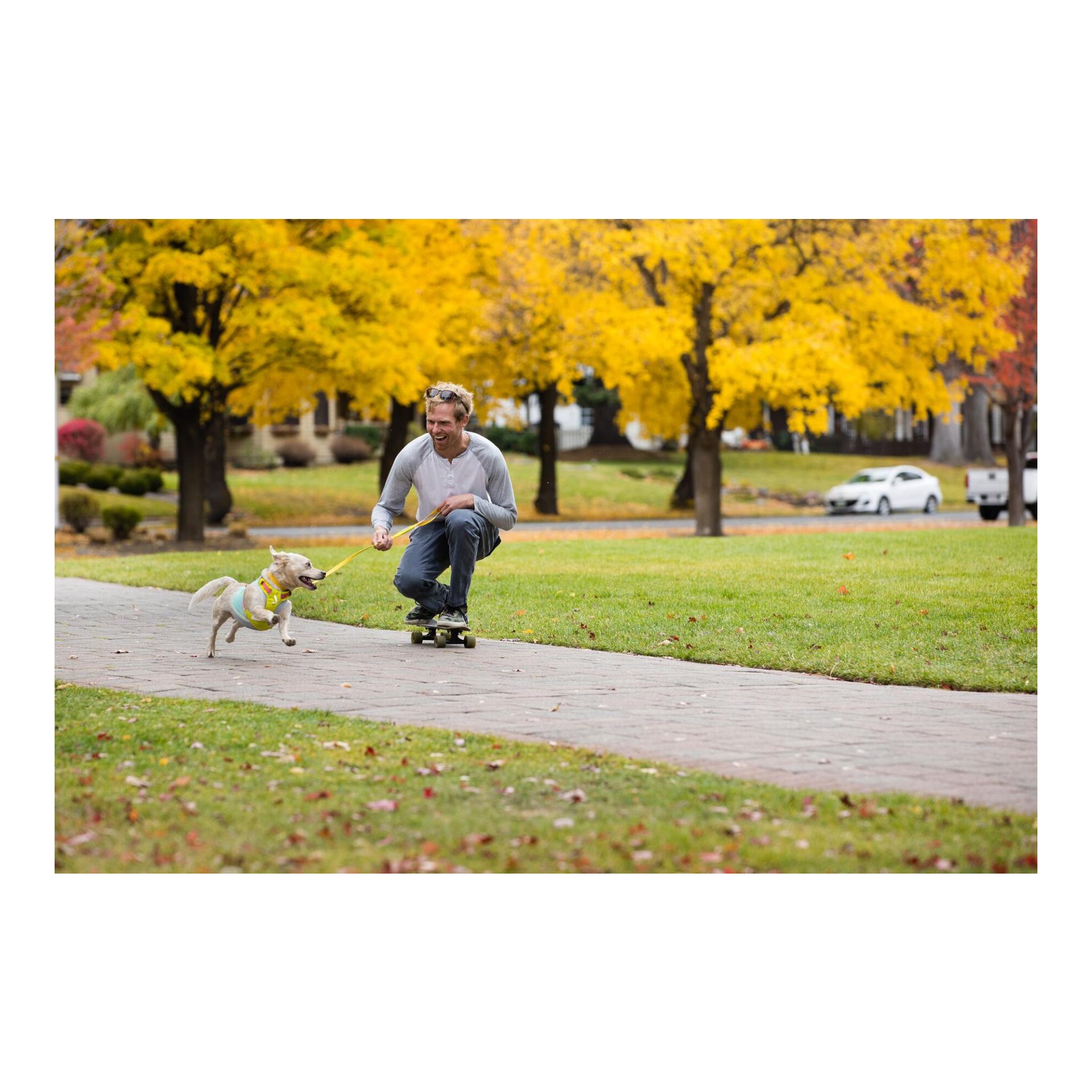 Hi & Light™ Geschirr