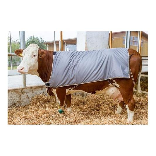Couverture de vache pour gros bétail - pour la race tachetée et les grandes pie-noires