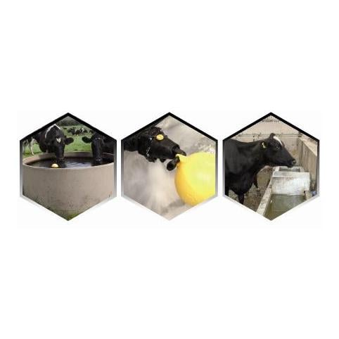 Topaz Schwimmerventil 200l / min