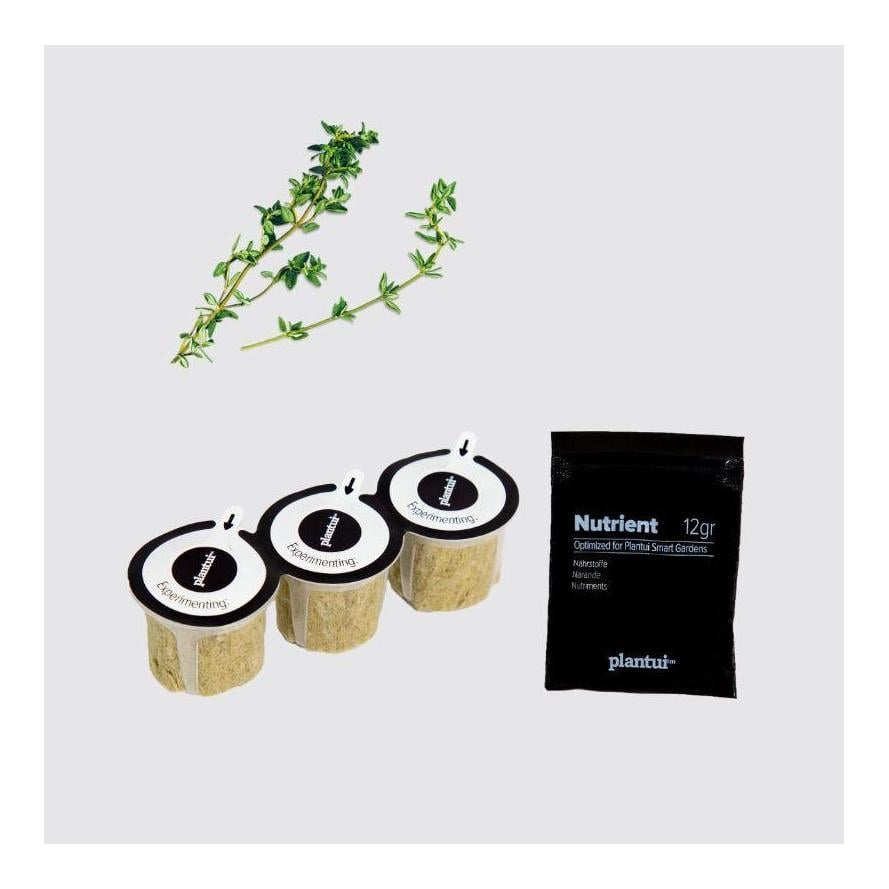 Image of Plantui Thymian Kapsel Smart Garden bei Hauptner.ch