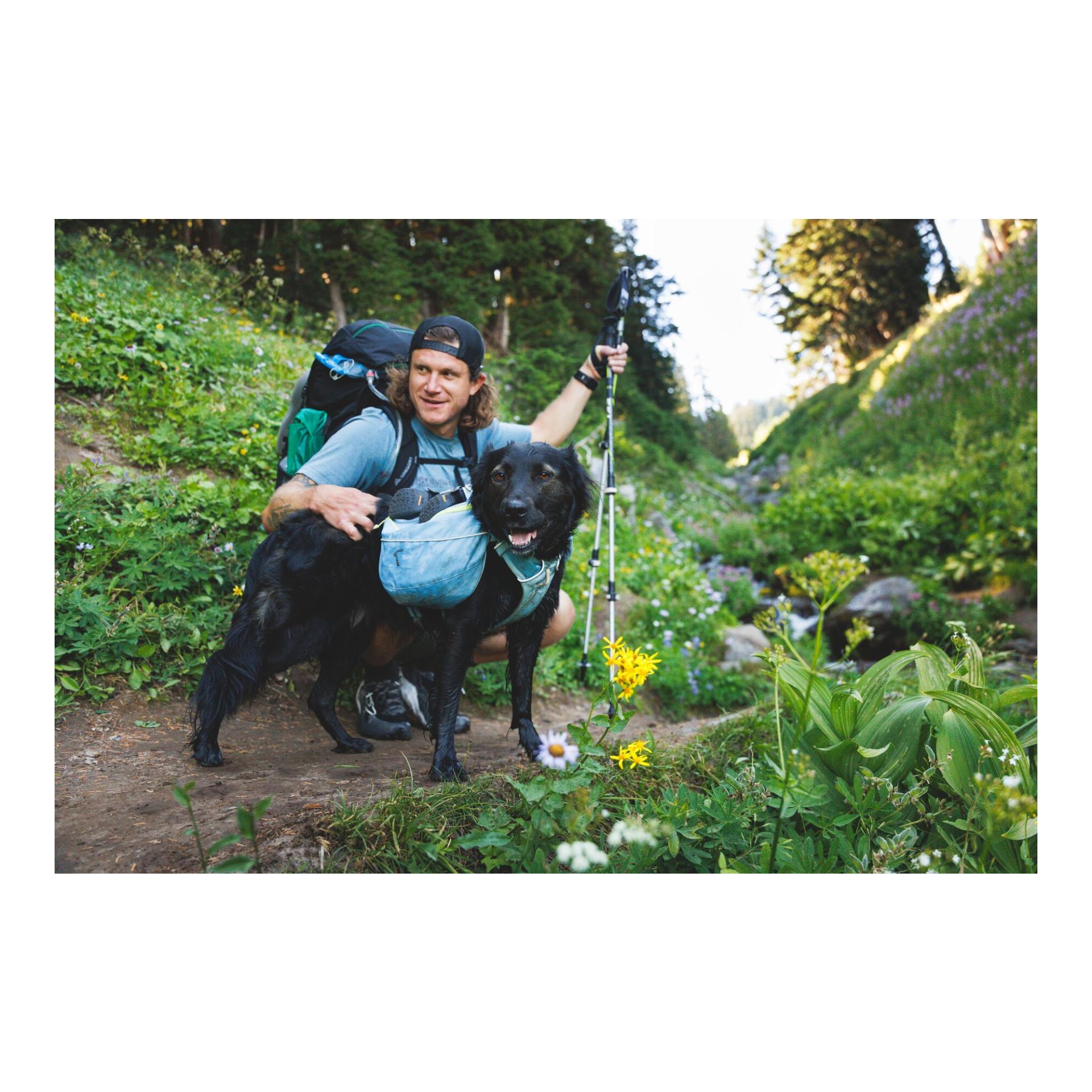 Ruffwear Palisades™ Pack - Sac à dos pour chien