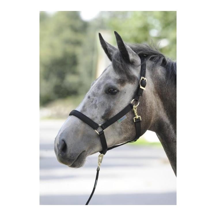 Halfter Dublin - schwarz