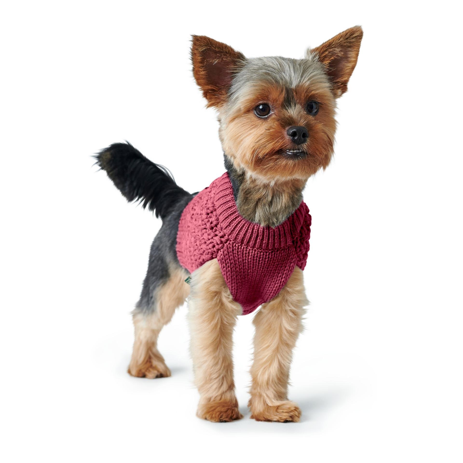 Hundepullover Malmö - bordeaux