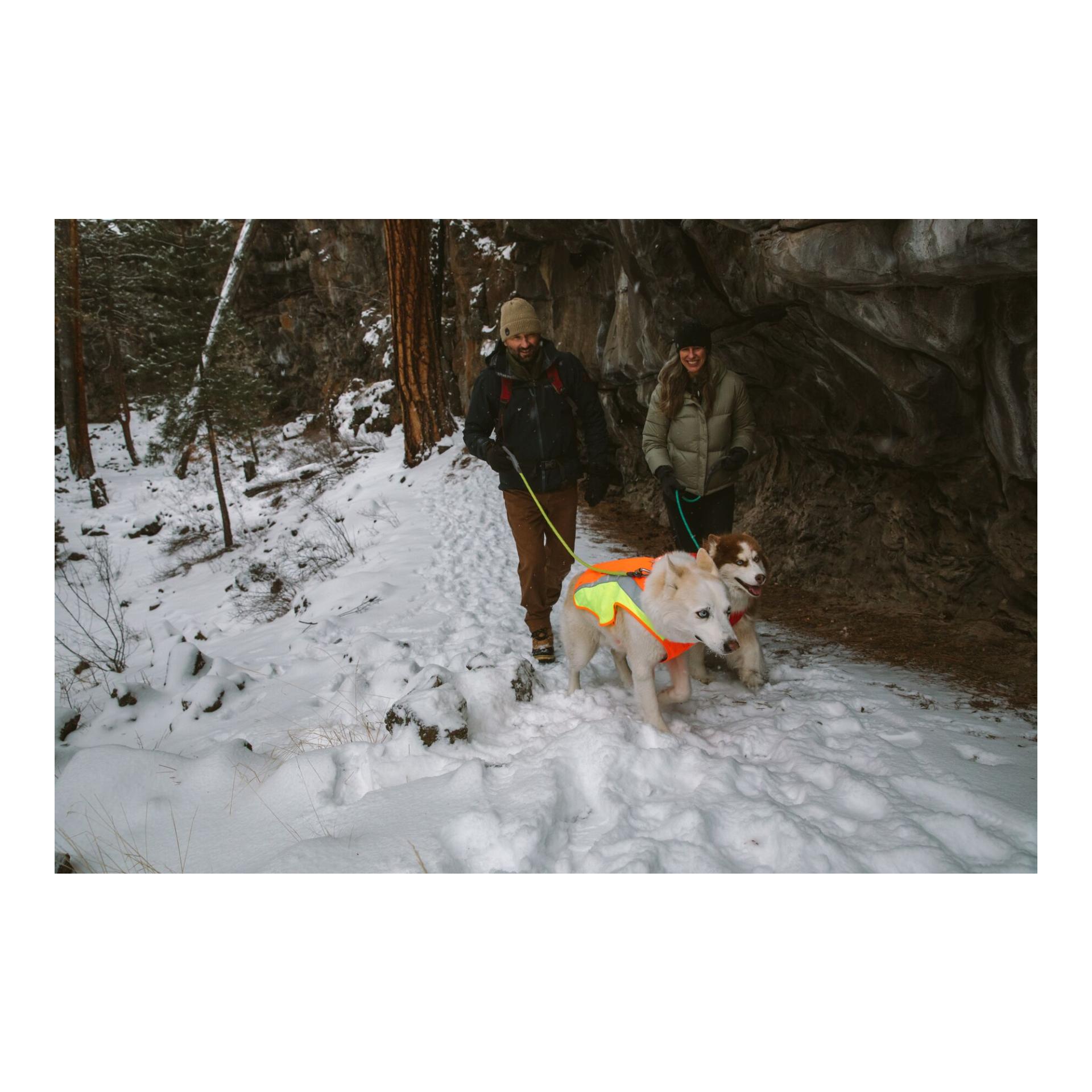 Lumenglow™ Hi-Viz Jacket Hundejacke - blaze orange
